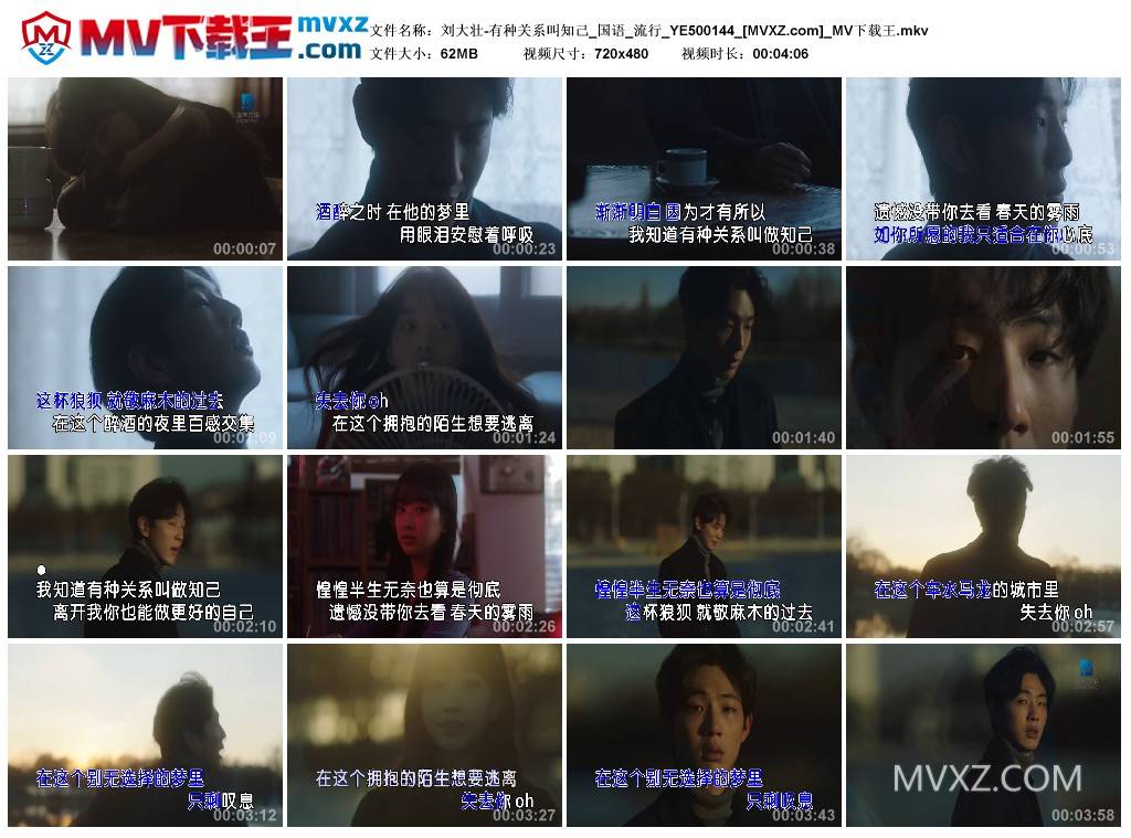 刘大壮-有种关系叫知己_国语_流行_YE500144